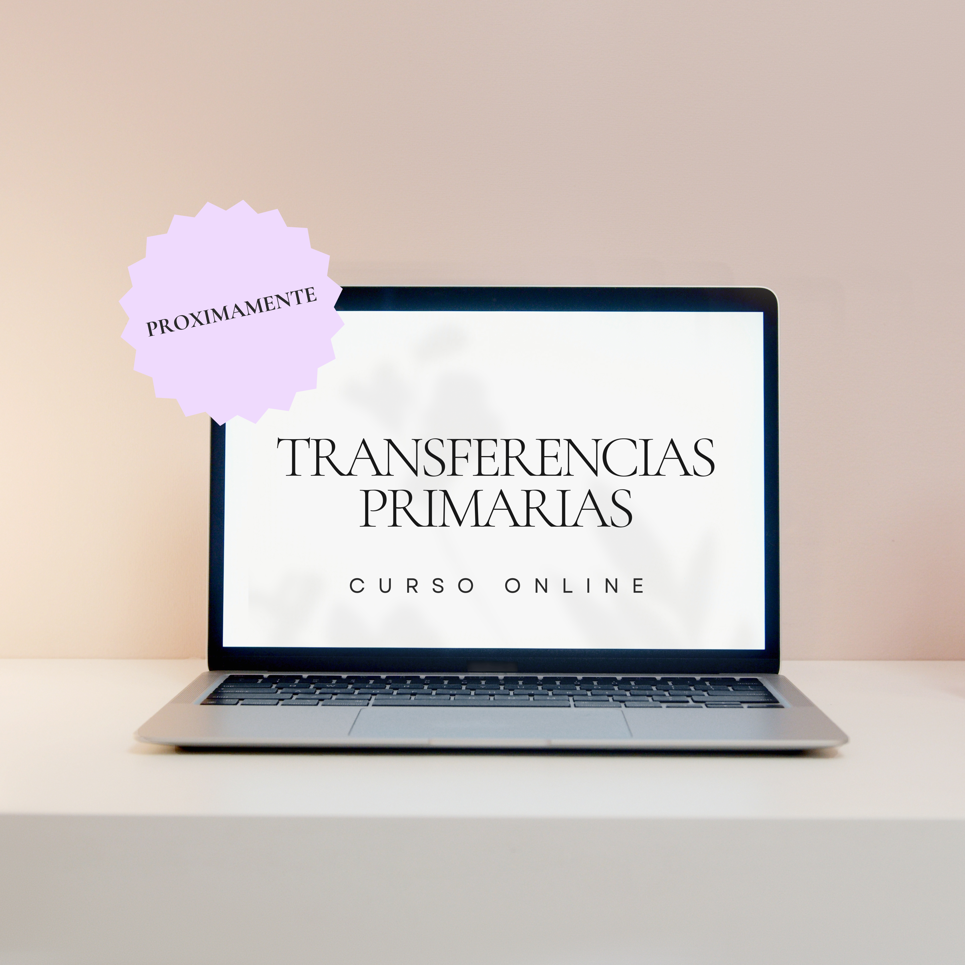 Curso Transferencias Primarias